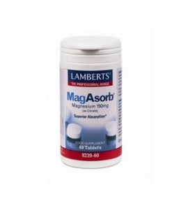 Lamberts MAG Asorb 60 tabs