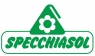 Specchiasol