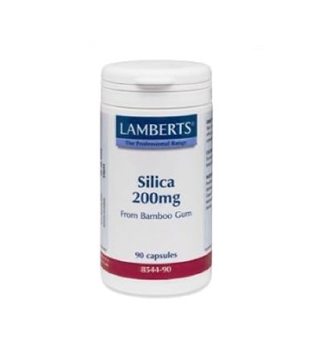 Lamberts Silica 90 caps